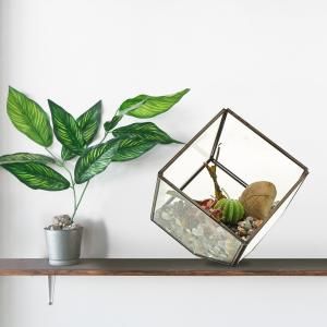 Wholesale Glass Terrariums - AW Artisan Europe - Giftware Supplier