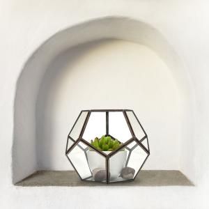 Wholesale Glass Terrariums - AW Artisan Europe - Giftware Supplier