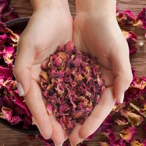 Wholesale Pure Floral - AW Artisan Europe - Giftware Supplier