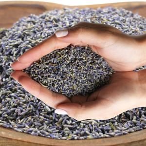 Wholesale Pure Floral - AW Artisan Europe - Giftware Supplier
