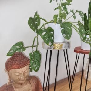 Wholesale Albasia Wooden Plant Stands - AW Artisan Europe - Giftware Supplier