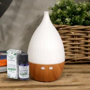 Wholesale Wholesale Plant-Based Fragrance Oils - AW Artisan Europe - Giftware Supplier