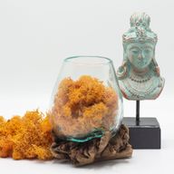 Molten Glass on Rare Parasite Wood - large