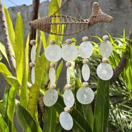 String Fish and Natural Copis Drop