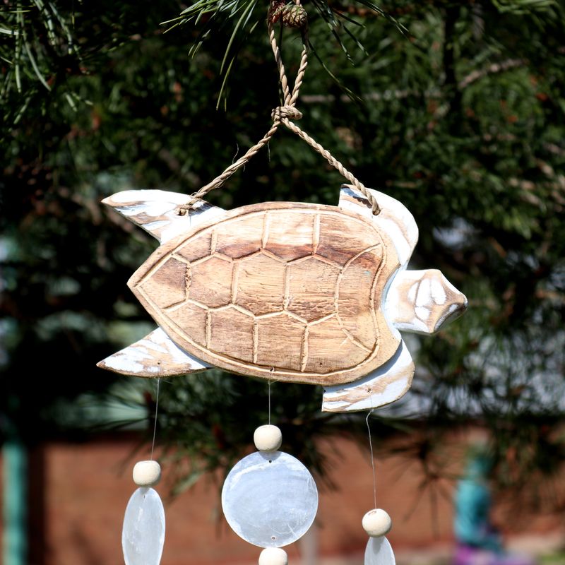 Whitewash Turtle Carving and Natural Copis Drop