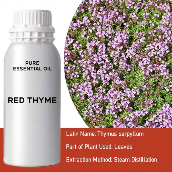 Red Thyme Essential Oil 500ml