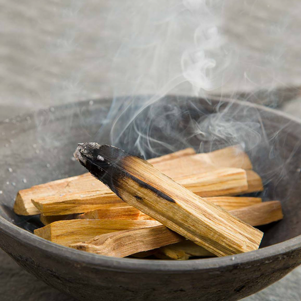 Wholesale Green Tree Palo Santo