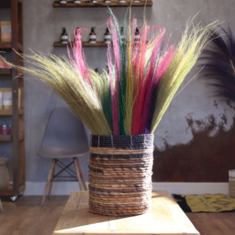 Natural Pampas Broom