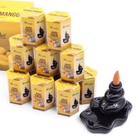 Pack of 10 Masala Backflow Incense - Coconut & Mango