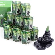 Pack of 10 Masala Backflow Incense - Rain Forest