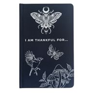 Hardbacked Gratitude Journal - 120 pages - Rich Black & Silver Lining