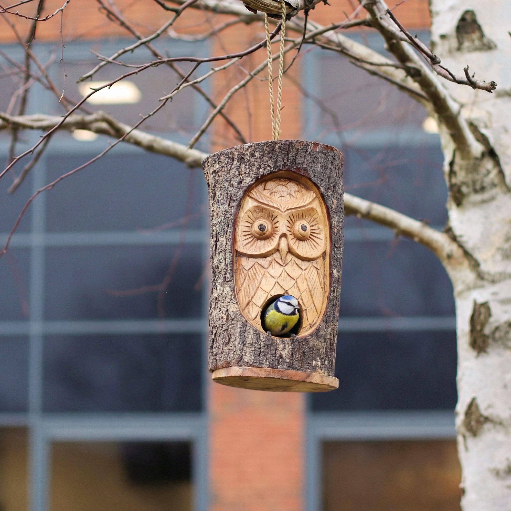 Natural Bird Houses