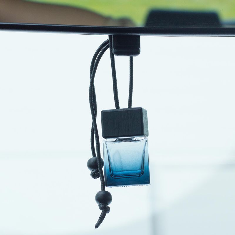 Black - Car Diffuser Hanging Bottles - 8ml - (3 assorted designs x 4)