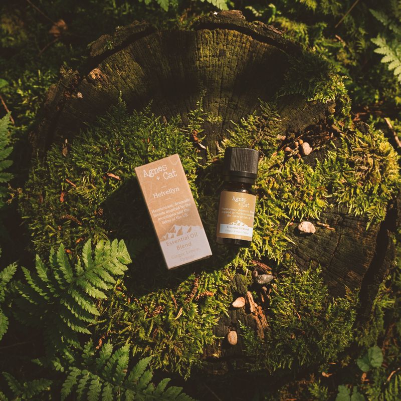 Essential Oil Blend - Cat Bells - Lime, Tangerine & Peppermint