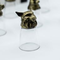 Gift Set of 12 Bottom Up Shot Glasses (25ml)  - Forest & Mystical Creatures