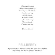 Agnes & Cat Botanical Soy Candle - Fellberry