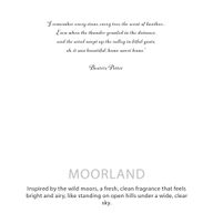 Agnes & Cat Botanical Soy Candle - Moorland Lavender