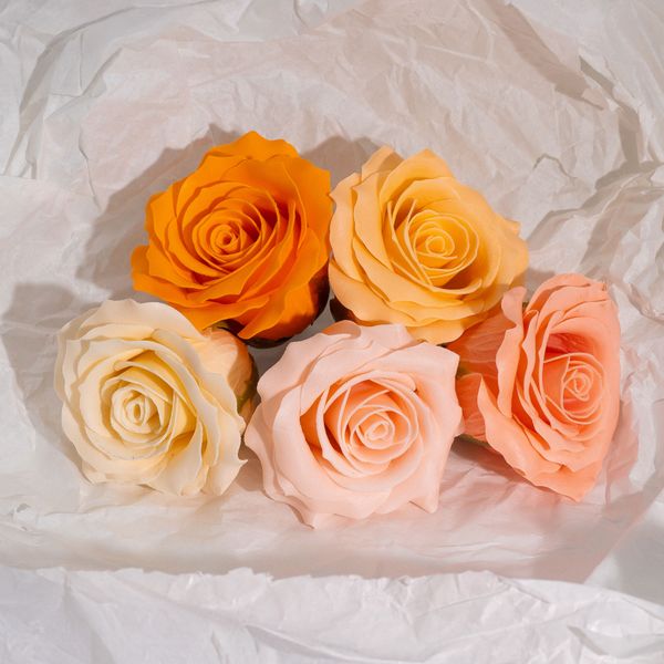 Craft Soap Flower - (5-Layer) Romatic Rose - Graduated Selection - Peach Blush