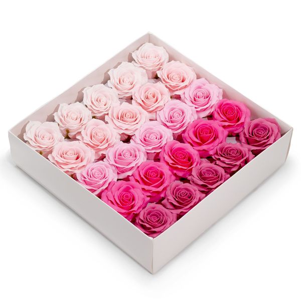 Craft Soap Flower - (5-Layer) Romatic Rose - Graduated Selection - Pink Blush