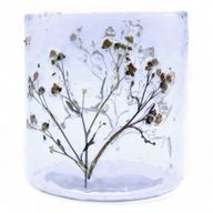 Natural Floral Glass - Straight Candle Holder - Daisy  - (8x8cm)