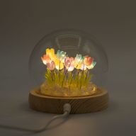 Floral Glow Garden Dome - 20 Multi Tulips - LED USB