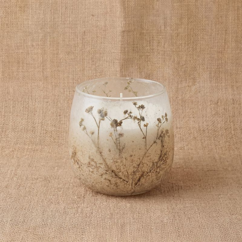 Wildlight Woods - Glass Jar Candles - Small