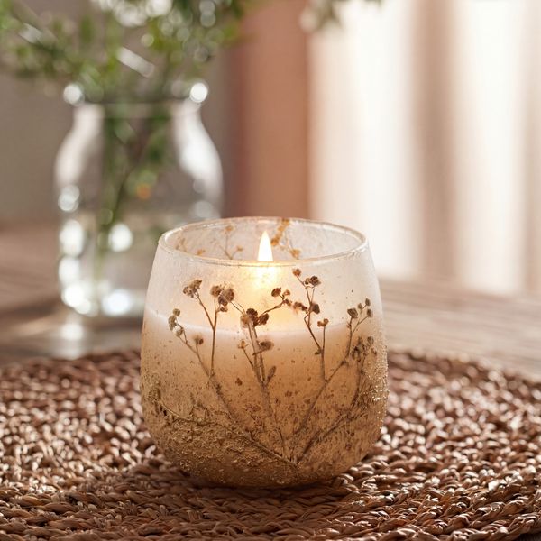 Wildlight Woods - Glass Jar Candles - Medium