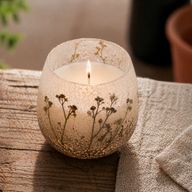 Wildlight Woods - Glass Jar Candles - Medium