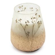 Wildlight Woods - Glass Jar Candles - Tall