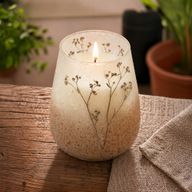 Wildlight Woods - Glass Jar Candles - Tall