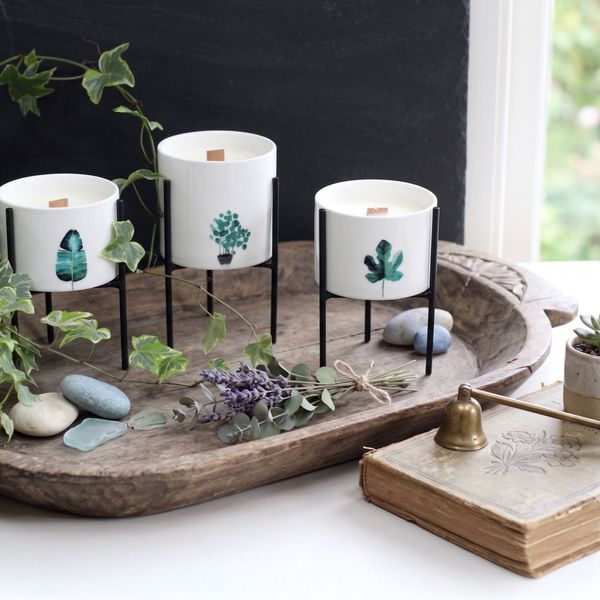 Botanical Candles