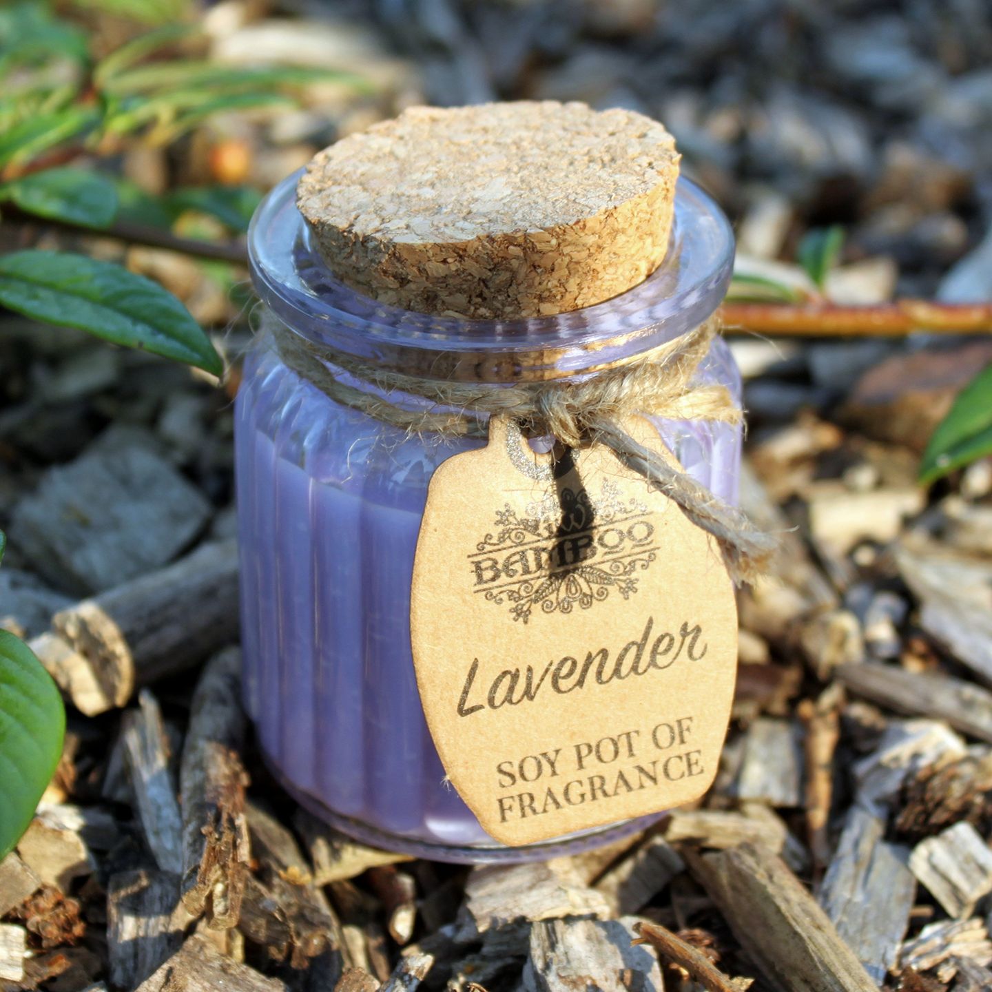 Wholesale Soy Pot of Fragrance Candles