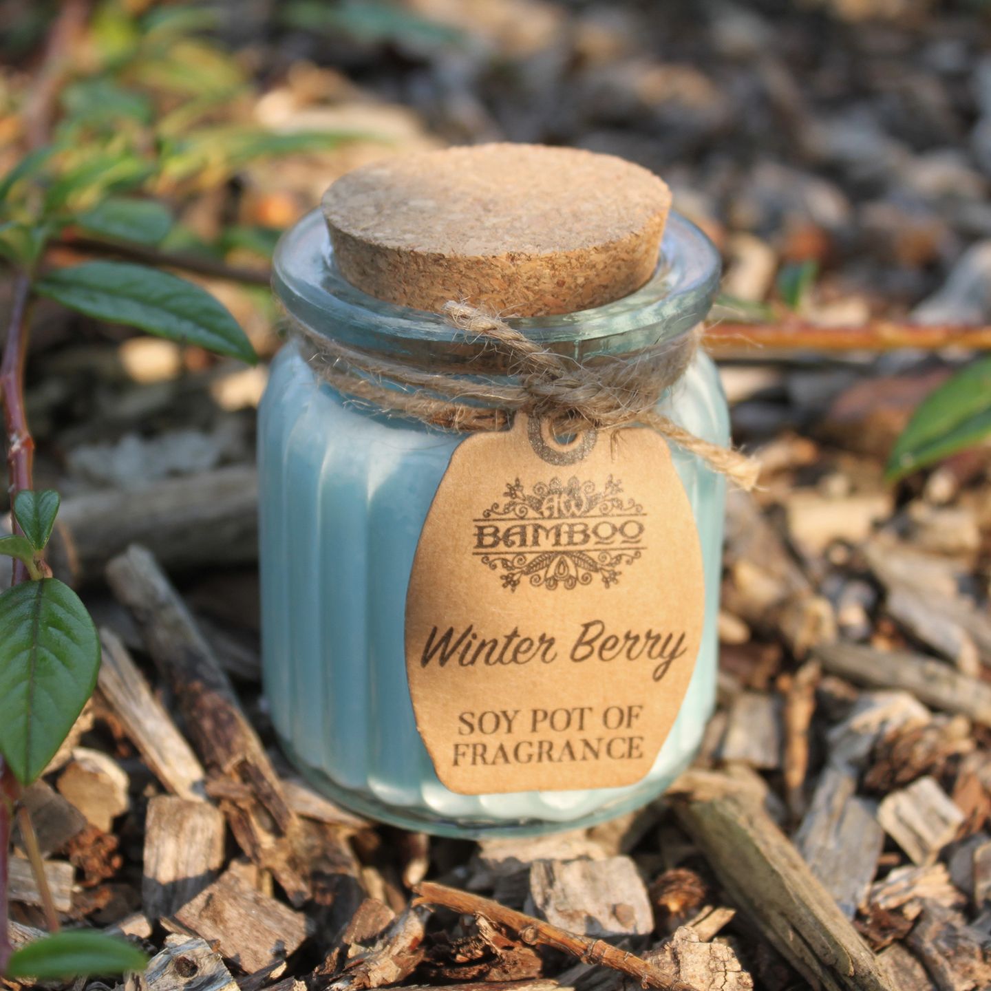 Wholesale Soy Pot of Fragrance Candles