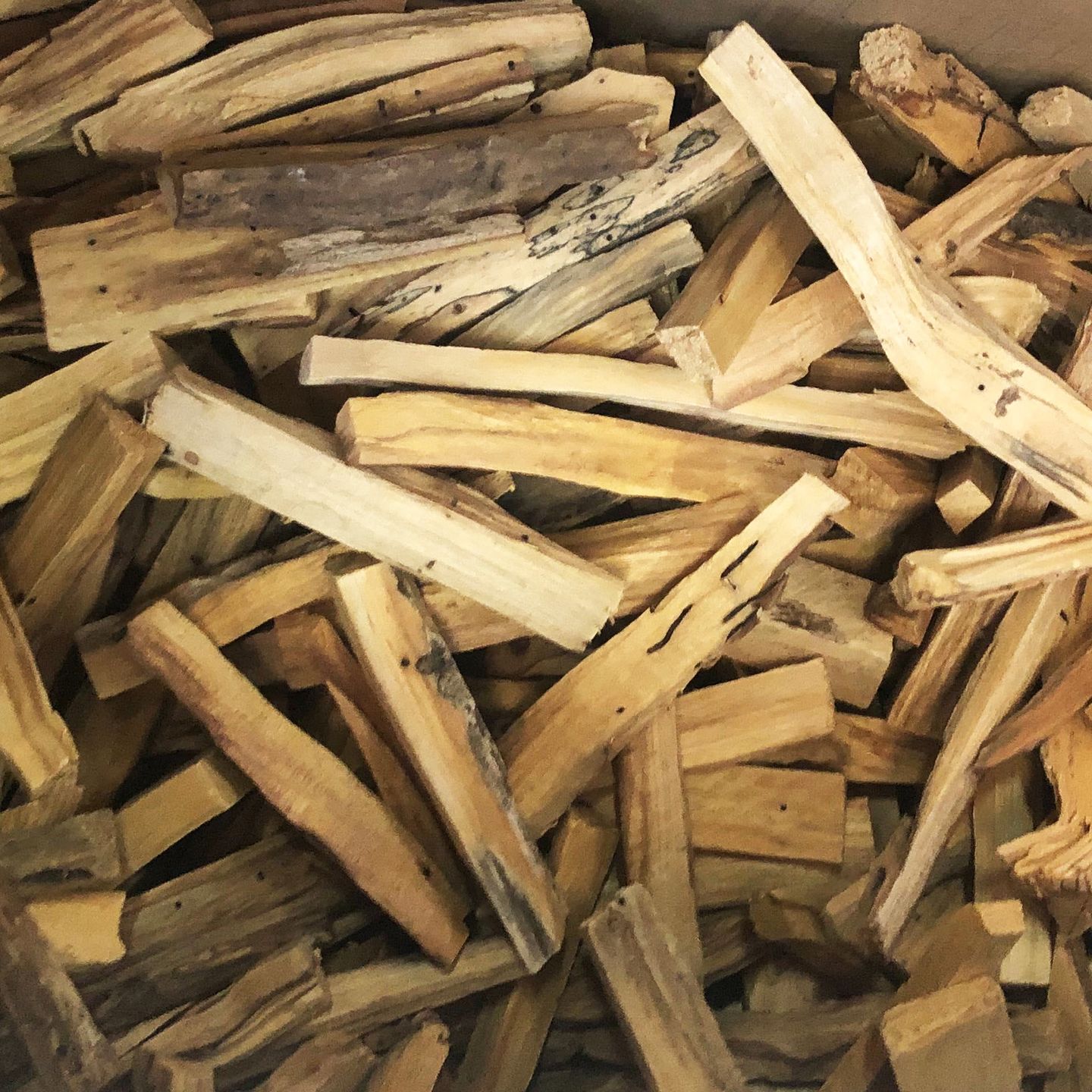 Wholesale Green Tree Palo Santo