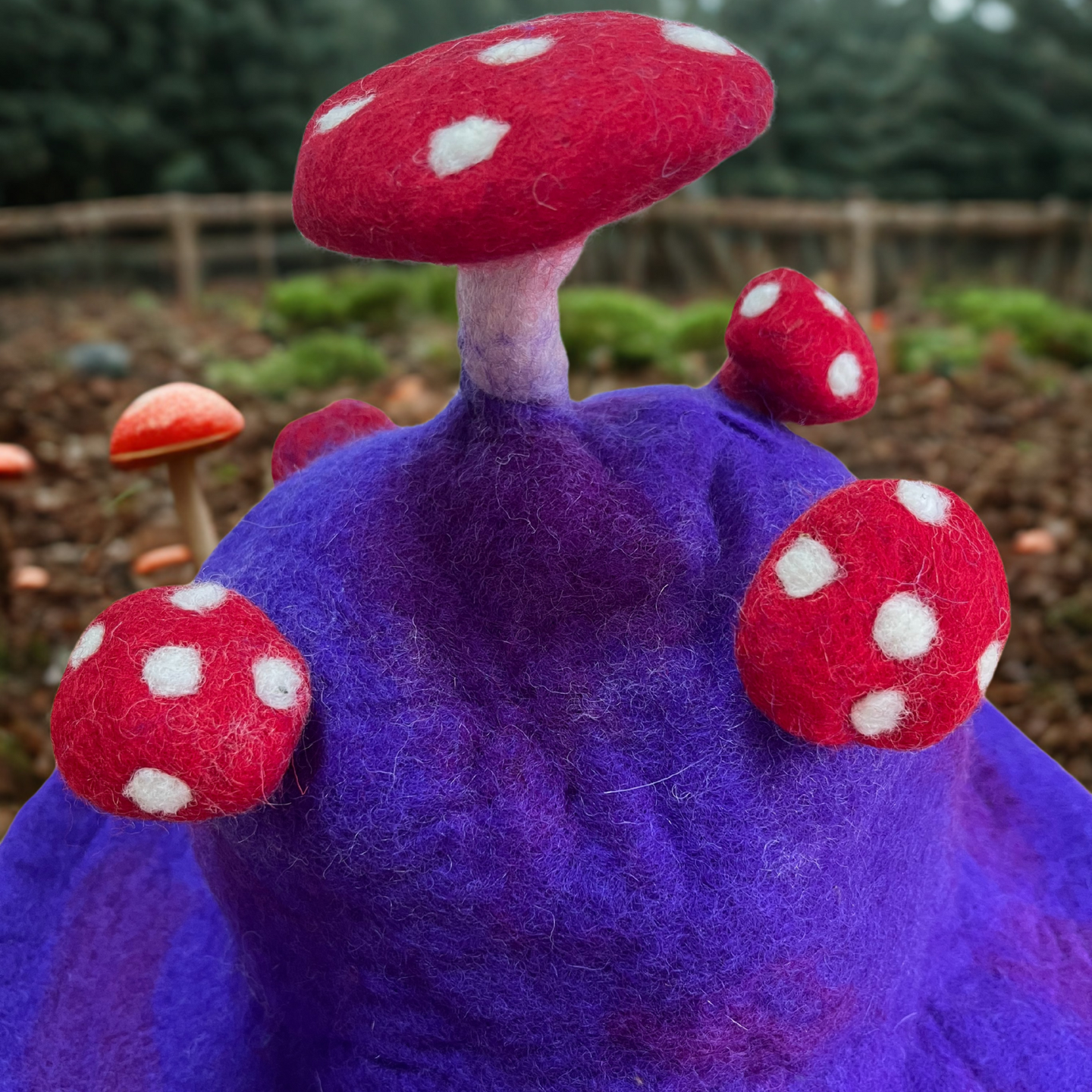 Felted Mushroom Hat