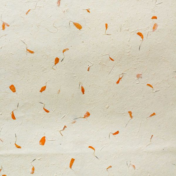Lokta Craft / Wrapping Paper (51x76cm) - Marigold