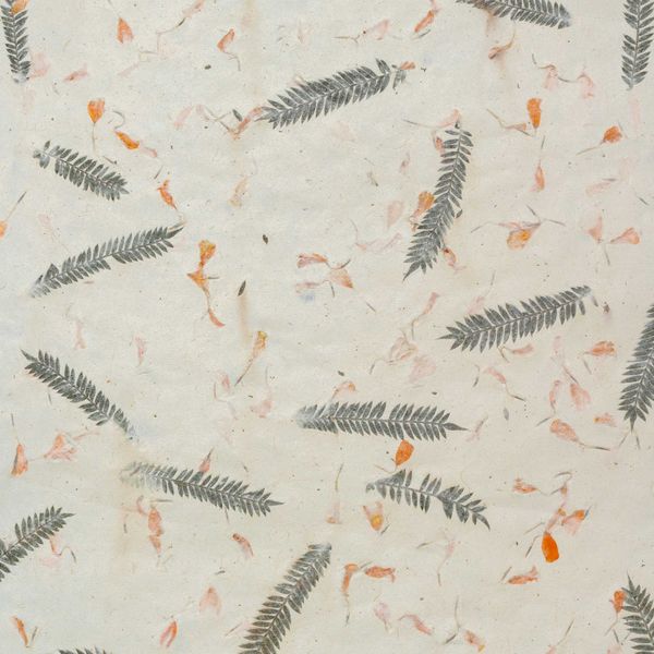 Lokta Craft / Wrapping Paper (51x76cm) -Mixed Cotton Colours