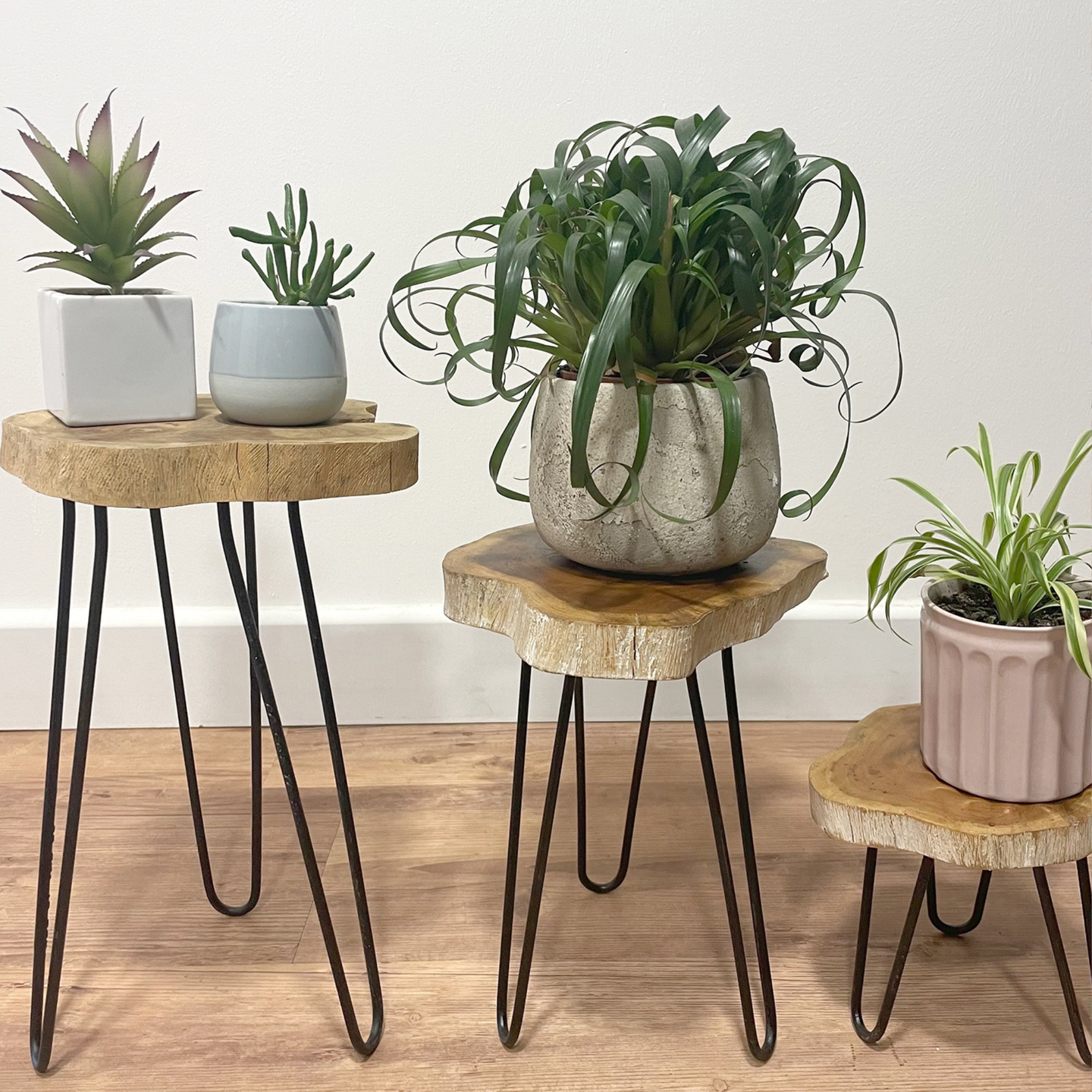 Wooden Plant Stands