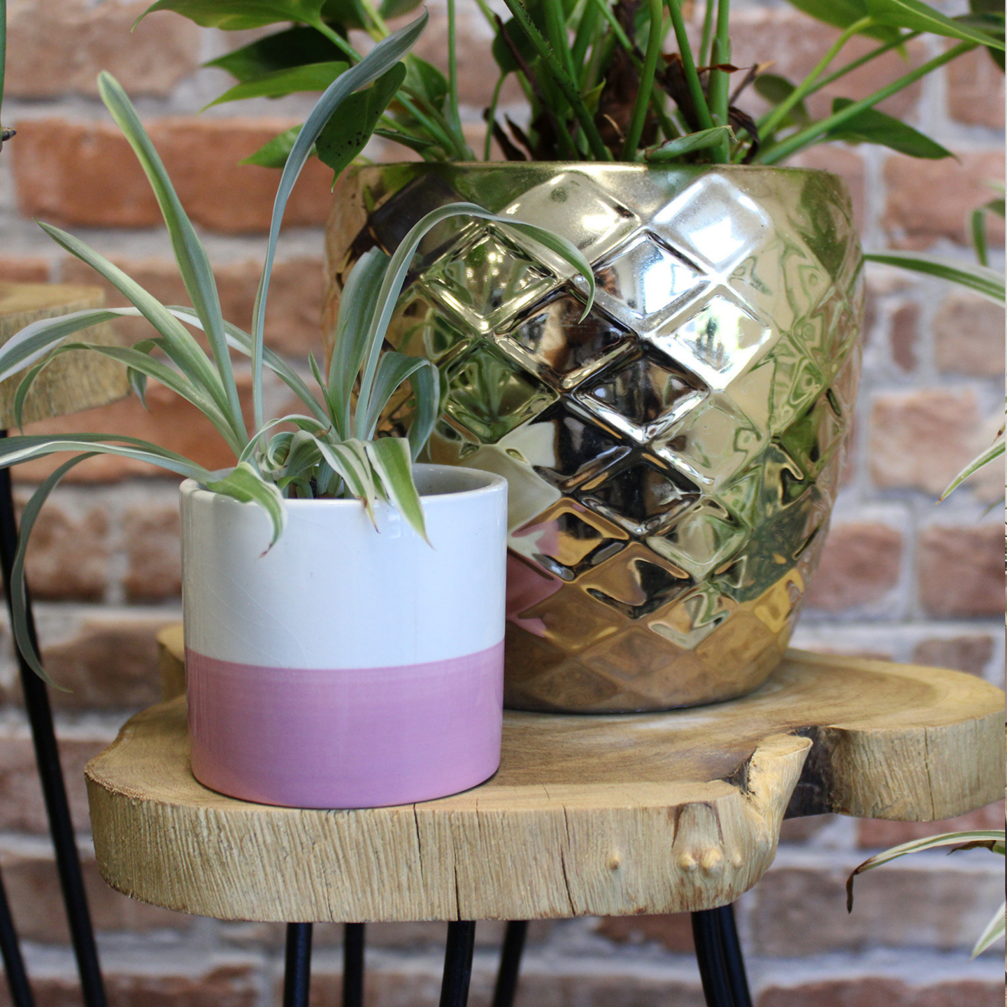 Wooden Plant Stands