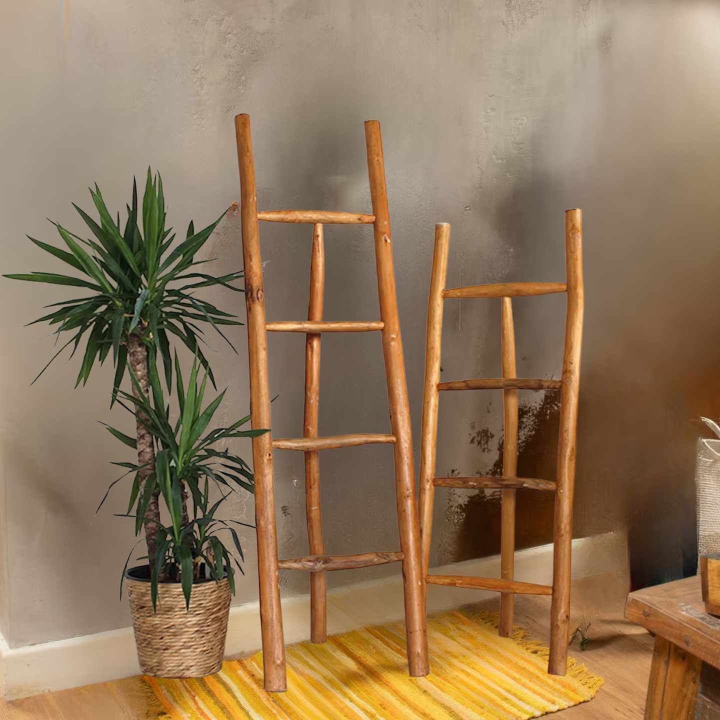 Wooden Ladders