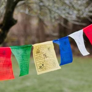 Tibetan Flags