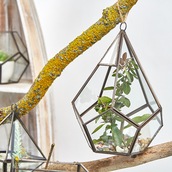 Glass Terrariums