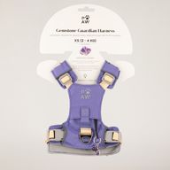 PAW - XS (2-4Kg) Dog Step-in Guardian Harness with Reflective Mesh - Lavender - Amethyst Charm