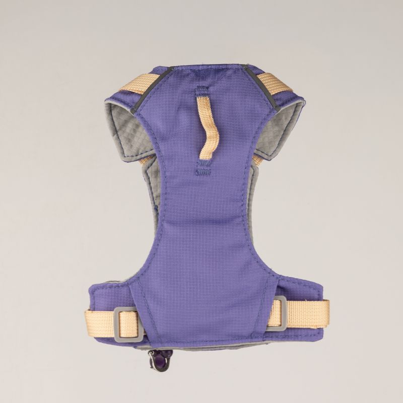 PAW - XS (2-4Kg) Dog Step-in Guardian Harness with Reflective Mesh - Lavender - Amethyst Charm