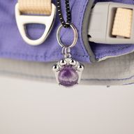 PAW - XS (2-4Kg) Dog Step-in Guardian Harness with Reflective Mesh - Lavender - Amethyst Charm