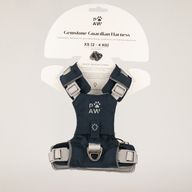 PAW - XS (2-4Kg) Dog Step-in Guardian Harness with Reflective Mesh - Rock Grey - Black Obsidian Charm