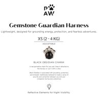 PAW - XS (2-4Kg) Dog Step-in Guardian Harness with Reflective Mesh - Rock Grey - Black Obsidian Charm