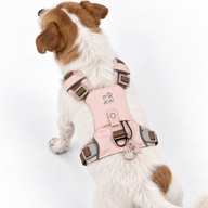PAW - S (4-8Kg) Dog Step-in Guardian Harness with Reflective Mesh - Soft Pink - Rose Quartz Charm