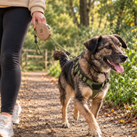 P-AW Designer Retractable Pet Lead Starter Pack