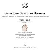 P-AW Gemstone Guardian Starter Pack